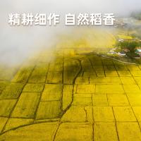 海天 优选东北 珍珠米 大米 真空包装5KG 红色（单位：袋）