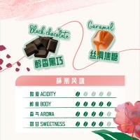 星巴克（STARBUCKS） 佛罗娜 精品烘焙咖啡豆 深烘黑咖啡 220g(单位：袋)