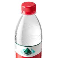 农夫山泉 饮用天然水 380ml*24瓶（单位:箱）