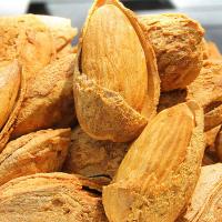 鲜记 全球臻选 坚果礼盒 1.828kg 红色（单位：盒）内配表：澳大利亚巴旦木100g*1、澳大利亚夏威夷果100g*1、纸皮核桃500g、智利提子干200g、山楂片228g、菲律宾香蕉干300g、泰国龙眼干200g、新疆灰枣200g