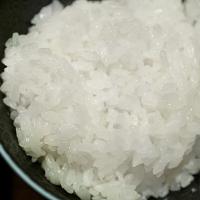 金菜花 小町米大米 真空包装 2kg（单位：袋）