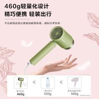 松下（Panasonic） 电吹风机 负离子护发 EH-WNE5H 1800W (单位:台) 绿色