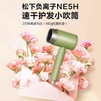 松下（Panasonic） 电吹风机 负离子护发 EH-WNE5H 1800W (单位:台) 绿色
