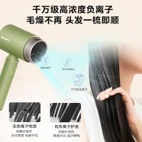 松下（Panasonic） 电吹风机 负离子护发 EH-WNE5H 1800W (单位:台) 绿色