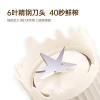 康巴赫 便携式榨汁杯 KBH-DGZ0901 300ml (单位:台)