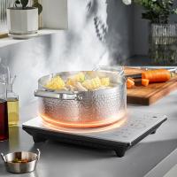 苏泊尔（SUPOR） 电磁炉 超猛火 C22-IA05 280mm*350mm (单位:台) 赠26cm不锈钢汤锅 皎月银