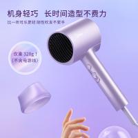 美的（Midea） 电吹风 MB-AJ0504 1600W (单位:台)