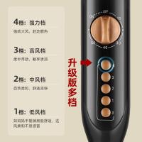 长虹（CHANGHONG） 落地电风扇 定时机械款 CFS-16P04 43*117*38cm(可伸缩) (单位:台) 黑色