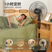 长虹（CHANGHONG） 落地电风扇 定时机械款 CFS-16P04 43*117*38cm(可伸缩) (单位:台) 黑色