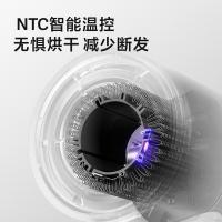 飞科 高速电吹风 FH6370 233*85*63mm (单位:台) 珍珠白