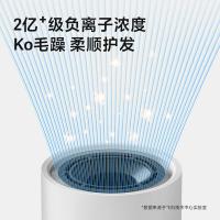 飞科 高速电吹风 FH6370 233*85*63mm (单位:台) 珍珠白