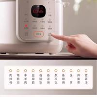 苏泊尔（SUPOR） 电压力锅 双胆 SY-50YC5006 5L (单位:台)