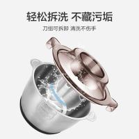 苏泊尔（SUPOR） 绞肉机 全钢机身 JR16-300 2L (单位:台) 不锈钢色