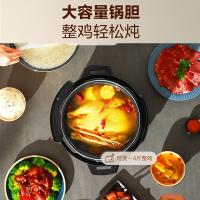 荣事达（Royalstar） 电压力锅 多功能 YDG50-100A257 5L 4台/箱 (单位:台)