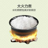 美的（Midea） 电饭煲 迷你 MB-YN161 1.6L 1台/箱 (单位:台) 粉色
