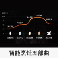 九阳（Joyoung） 不粘电饭煲 米汤分离 F-40FY33 4L (单位:台) 灰色