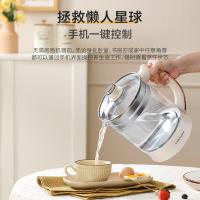 荣事达（Royalstar） 养生壶 纯钛发热盘 YSH2002T 800W (单位:台)