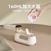 大宇（DAEWOO） 手持熨烫机 智能数显 HI-042 187*95*119mm 1台/箱 (单位:台) 豆荚绿