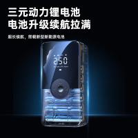 领臣（LINGCHEN） 车载充气泵 电动便捷 LCCQB-02 80*52*160mm 20个/箱 (单位:个)