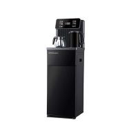 荣事达（Royalstar） 茶吧机 智能语音 CY913 额定功率 1350W  产品尺寸 320*315*1065mm 4台/箱 (单位:台)