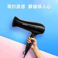 博锐 电吹风 手柄可折叠 PH1625 2000W 24台/箱 (单位:台) 黑色