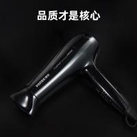 博锐 电吹风 手柄可折叠 PH1625 2000W 24台/箱 (单位:台) 黑色