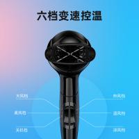 博锐 电吹风 手柄可折叠 PH1625 2000W 24台/箱 (单位:台) 黑色