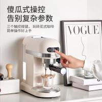 柏翠（petrus） PE3366 咖啡机 154*328*321mm 半自动（单位:台）米白色