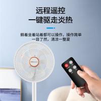 荣事达（Royalstar） FD-30L501（Q） 电风扇 360*360*1160mm （单位:个）
