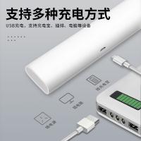 雅格（yage） 电蚊拍 灯拍两用 YG-6084 514*208*80mm 40个/箱 (单位:个)