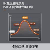 九阳（Joyoung） Y-50IHS17 电压力煲 5L （单位：台）