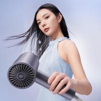 苏泊尔（SUPOR） HDL-F1 电吹风机 136*81*254mm （单位:台）