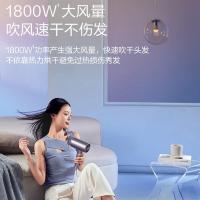苏泊尔（SUPOR） HDL-F1 电吹风机 136*81*254mm （单位:台）