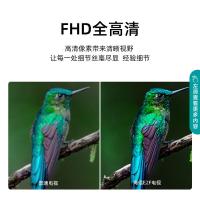 海信（Hisense） 平板电视机 43E2F 43英寸 (单位:台)