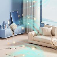 美菱（MeiLing） 空气循环扇电风扇 机械款 MPF-LC3534 功率35W (单位:台)