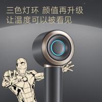 飞科 FH6372 钢铁侠联名款高速电吹风机 1600W (单位：个) 黑色