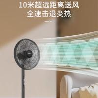 格卡诺（GKN） GKN-FS-66 电风扇 38W 黑色（单位：个）