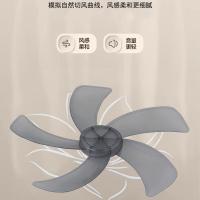 格卡诺（GKN） GKN-FS-66 电风扇 38W 黑色（单位：个）