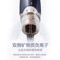 松下（Panasonic）EH-WNE6C 负离子电吹风 速干折叠 1700W（单位：台）蓝色