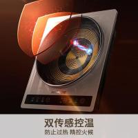 九阳（Joyoung） C35Z-C751 大火力凹槽电磁炉 480*265*393mm （单位:台） 榛果金