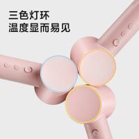 飞科 高速电吹风 FH6370 233*85*63mm (单位:台) 公主粉