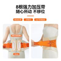 科普菲 腰部按摩器 W13 85*22cm 20个/箱 (单位:个)
