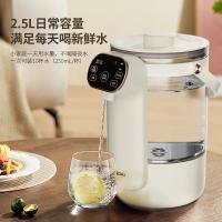 现代（HYUNDAI） 电热水壶 RC-K25A 2.5L 6台/箱 (单位:台)