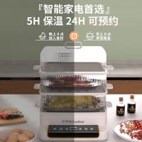 荣事达（Royalstar） 电蒸笼 ZG820D 30L；320mm*310mm*450mm (单位:个)