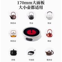 荣事达（Royalstar） 电陶炉 迷你 DTL13C 功率：1300W (单位:台)