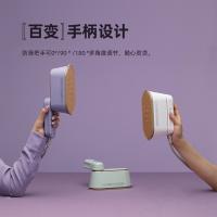 大宇（DAEWOO） HI-029-ZI 挂烫机 1KG （单位:台）