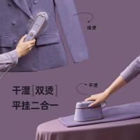 大宇（DAEWOO） HI-029-ZI 挂烫机 1KG （单位:台）