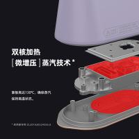 大宇（DAEWOO） HI-029-ZI 挂烫机 1KG （单位:台）
