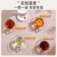 卓朗 ZL-TD01 即热式泡茶机 3L(单位：台) 白色
