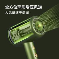 直白（zhibai） HL6 水离子吹风机 1800W（单位：台） 绿色
